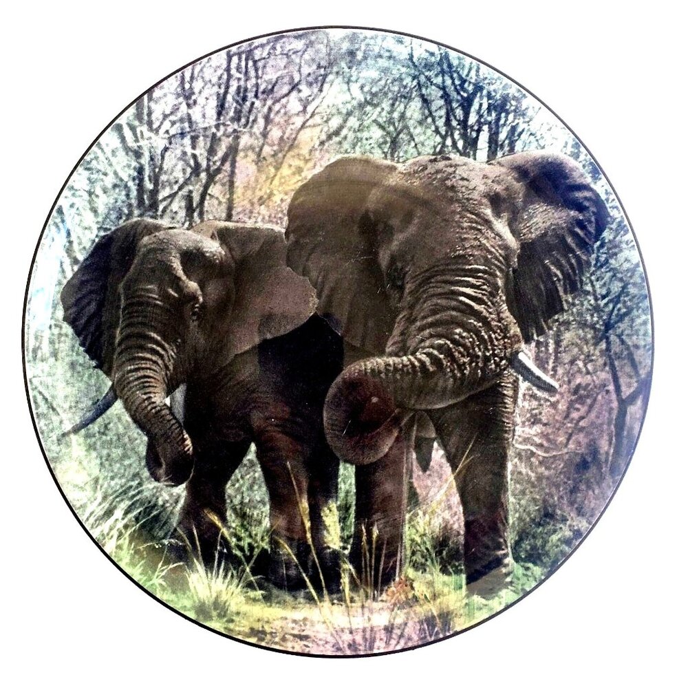 Vintage Royal Doulton African Elephants Plate D6481 African Game Reserve 10"